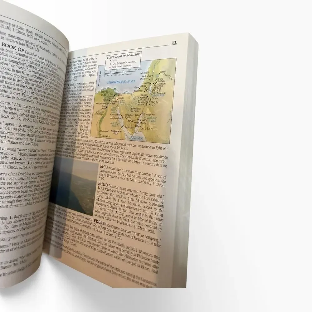 Holman Illustrated Pocket Bible Dictionary Reference Edition Paperback HCSB